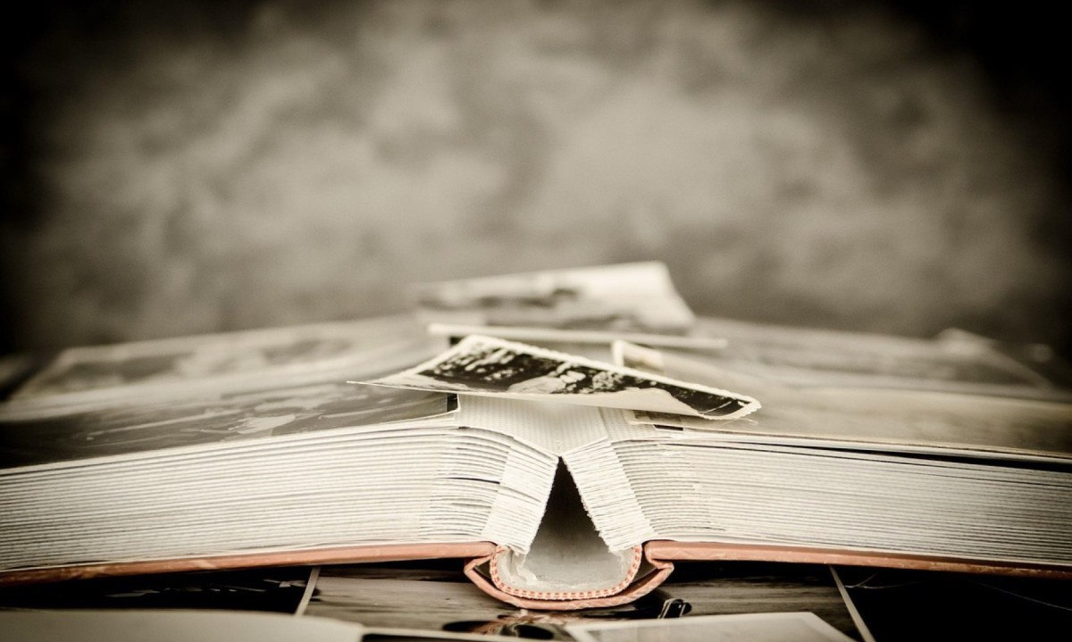 - (crédito: Pixabay/reprodução)
- (crédito: Pixabay/reprodução)