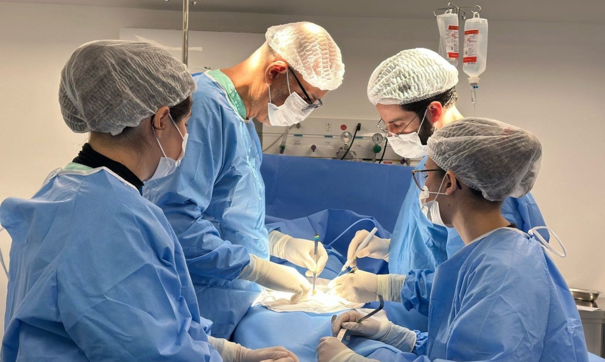 O Hospital-Dia vai atender casos como h&eacute;rnias, histeroscopias cir&uacute;rgicas, cirurgias de m&atilde;o e tratamento cir&uacute;rgico de c&aacute;lculo renal -  (crédito: Divulga&ccedil;&atilde;o/Faculdade Ci&ecirc;ncias M&eacute;dicas de Minas Gerais)