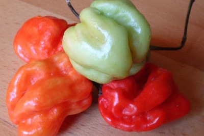 Os países que mais utilizam pimenta na culinária costumam ser aqueles com climas quentes e culturas gastronômicas ricas em temperos. Aqui estão alguns deles e seus quitutes principais que incluem pimenta:
 -  (crédito:  Jastrow wikimedia commons )