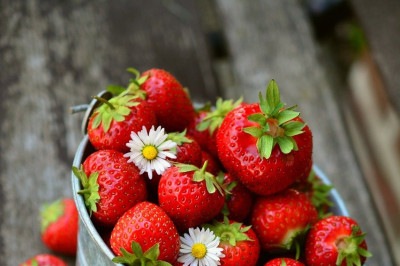 O morango é um pequeno fruto vermelho, doce e suculento,  cultivado e apreciado por seu sabor e valor nutricional. Mas, na mesa, é bem mais que isso. Versátil, cai bem em grande variedade de guloseimas.  -  (crédito: Imagem de congerdesign por Pixabay

)