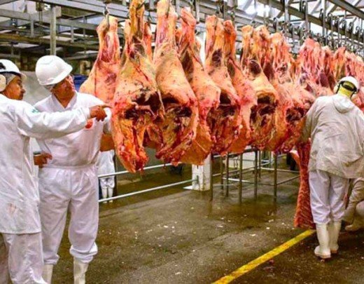 A carne bovina é suscetível a fraudes como a adição de água para aumentar o peso e a substituição de cortes inferiores por cortes mais caros. Essas práticas fraudulentas são impulsionadas pela alta demanda e pelos lucros potencialmente elevados.