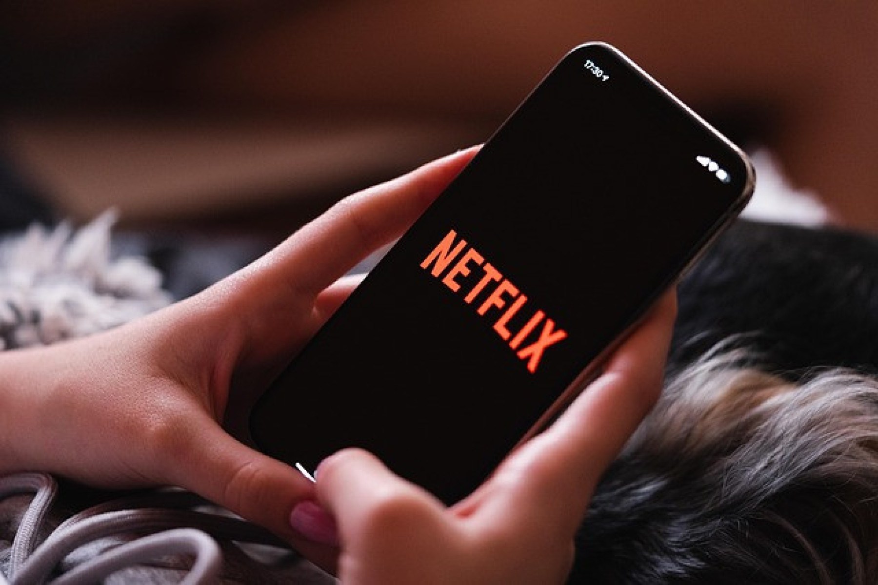 A novidade já está disponível na quinta temporada da série 