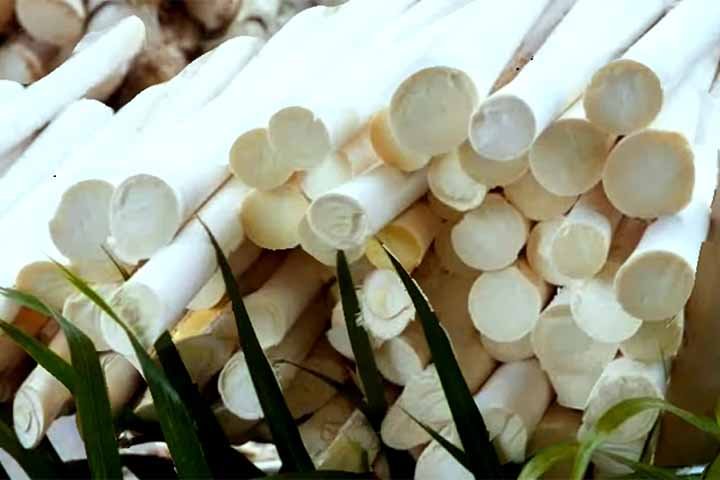 Ele é rico em fibras alimentares, que atuam no controle dos níveis de açúcar no sangue, juntamente com a redução do colesterol ruim. Assim, diminui o risco de doenças do coração e até mesmo diabetes.