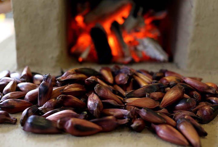 O pinhão possui ômega 6 e 9, que reduzem o colesterol "ruim" do organismo. Um fator considerado de risco para as doenças cardiovasculares.