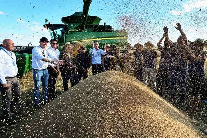 Voltando ao Brasil, na safra de 2021/2022, o país produziu aproximadamente 8,1 milhões de toneladas de trigo, um aumento de cerca de 6% em relação à safra anterior.