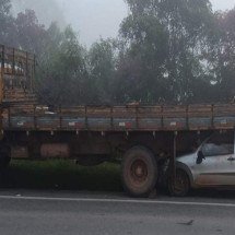 MG: acidente envolvendo quatro veículos em rodovia resulta em duas mortes - CBMMG/Divulga&ccedil;&atilde;o