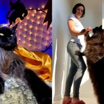 Gato gigante bomba nas redes sociais e pode ‘até assustar algumas pessoas’ - Imagem: Reprodução/The Independent 
