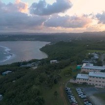 Cobras viram ‘donas’ de ilha e causam alerta - reprodução/youtube