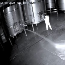 Ex-funcionária é presa após despejar milhares de litros de vinho para se vingar de empresa
