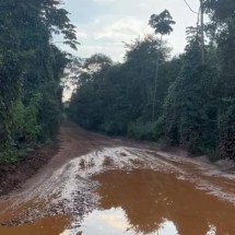 Usuários da MG-326 denunciam estado precário de rodovia: 'intransitável' - Crédito: Geraldo Fonseca