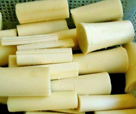 O zinco, presente no palmito, possui propriedades estruturais para o crescimento, o desenvolvimento e o reparo dos fios, fortalecendo os cabelos e evitando a sua queda.