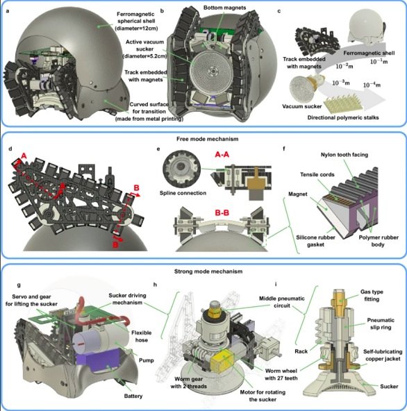 Os "robôs-caracóis" foram desenvolvidos por pesquisadores da Universidade Chinesa de Hong Kong e apresentados pela primeira vez em um artigo na revista Nature Communications.
