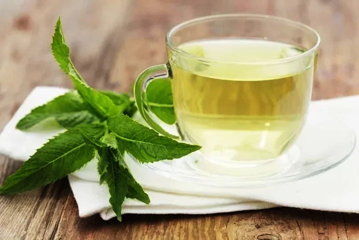  Os chás têm propriedades que podem ajudar a prevenir doenças, auxiliar na memória, dar disposição e reduzir a ansiedade. A maioria tem efeitos antioxidantes que retardam o envelhecimento. Muitos também ajudam a evitar inflamações. E, juntando o útil ao agradável, chás podem ter aroma e sabor agradáveis. -  (crédito: Tuasaude.com)