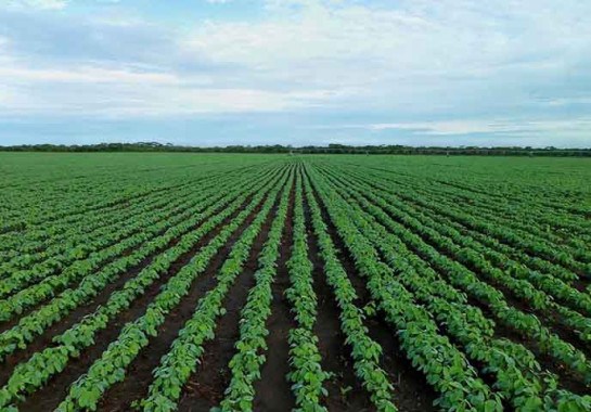 Imagem de jestermaroc por Pixabay