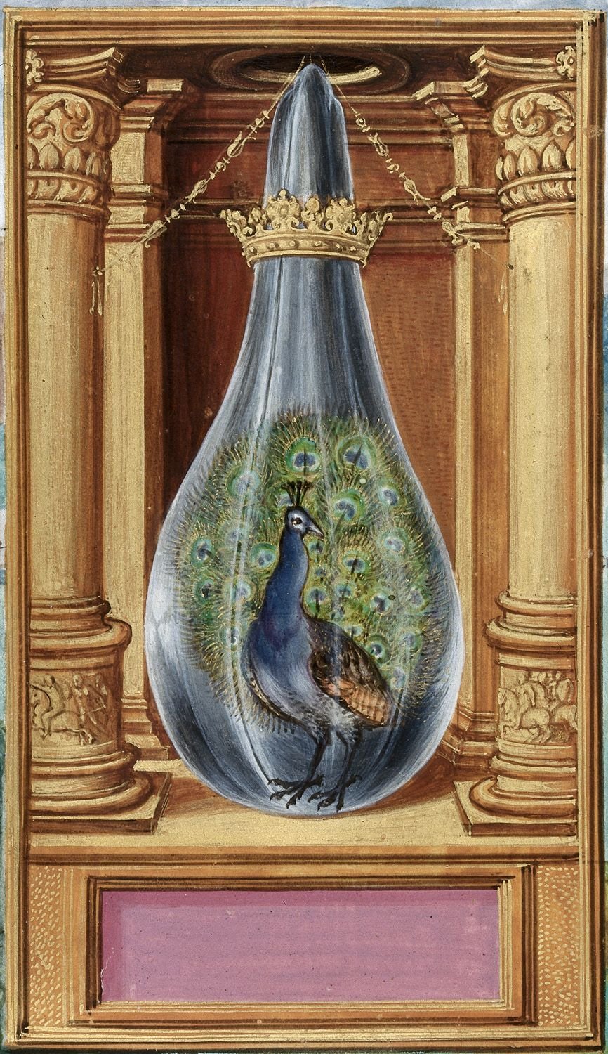 O Splendor Solis é um tratado alquímico manuscrito do século XVI em alemão, célebre por sua série de ilustrações colorida, e também retratou a bela figura do pavão. 
