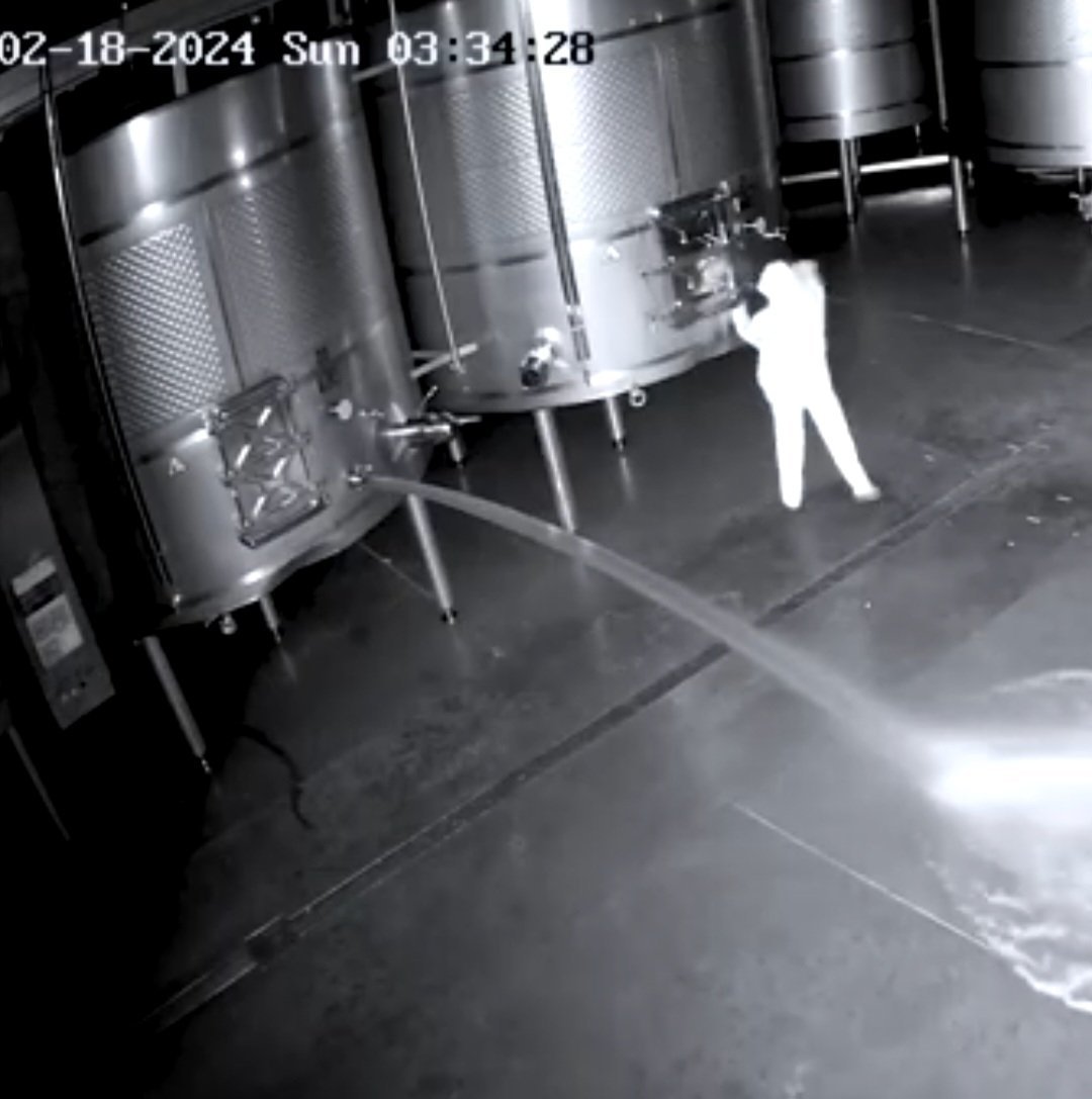 Ex-funcionária é presa após despejar milhares de litros de vinho para se vingar de empresa