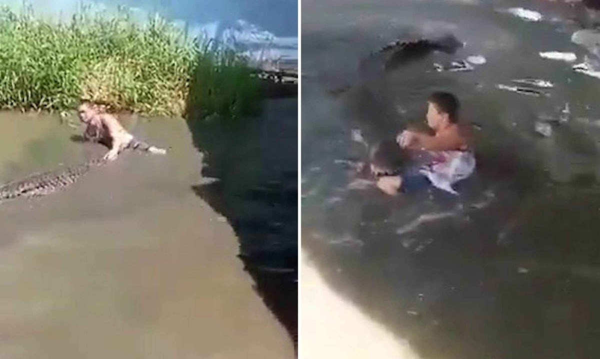 Montagem mostra turista sendo abocanhado pelo crocodilo e depois arrastado pelo lago no recinto do animal em zoológico das Filipinas -  (crédito: Reprodução/X)