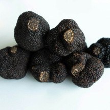 Fungo comestível, trufa negra é caríssima e os chefs de elite adoram; conheça - Big Dodzy unplash