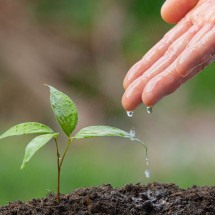 BH vai receber evento internacional para debater mudanças climáticas - Freepik