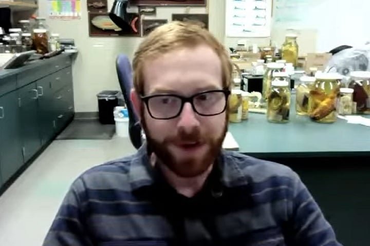 De acordo com o pesquisador, "encontros raros como esse oferecem uma oportunidade incrível de aprender mais sobre essa espécie e seu comportamento”. Saiba mais sobre o peixe-remo!