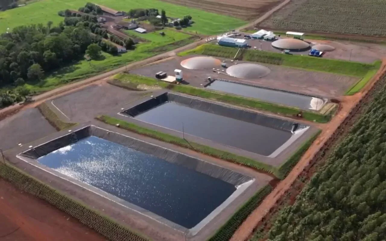 Essa alternativa contribui consideravelmente para o planeta. Isso porque hÃ¡ uma reduÃ§Ã£o da emissÃ£o de gases que agravam o efeito estufa e que sÃ£o liberados pelas fezes dos animais.