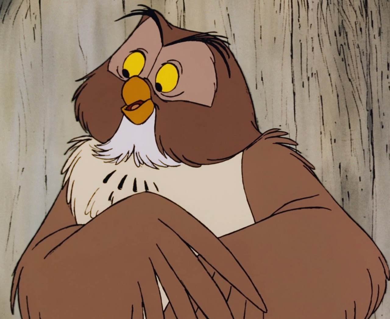 7.º Lugar: Corujão (O ursinho Pooh - 1926). Mais antiga habitante do Bosque dos 100 Acres, esta sábia coruja de discursos divagadores sempre está disposta a dar bons palpites ou contar histórias. 