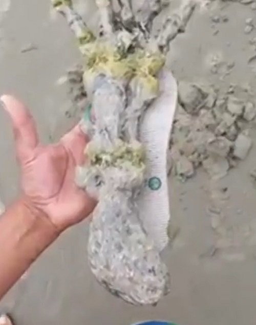 Desta forma, foi possível perceber como a "mão" era de proporções gigantescas, já que boa parte dos dedos ficavam para fora da sola do chinelo.