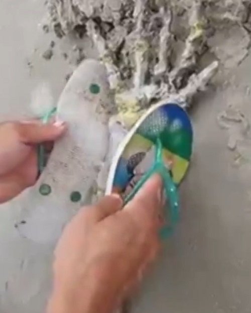 " Bem cedo, eu e meu namorado andávamos pela praia, quando encontramos essa ‘espécie de mão’", afirmou Letícia em uma de suas contas em redes sociais.