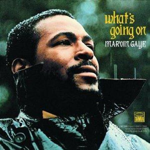  Marvin Gaye - Cantor e instrumentista de R&B e soul, ganhou fama nos anos 60 e tornou-se um dos mais populares do gênero. Em 1982, ganhou  2 Grammy. Com vida familiar conturbada, foi morto a tiros pelo pai, com um revólver que ele mesmo tinha lhe dado.