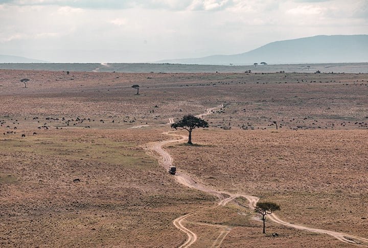 Ali fica o Grande Vale do Rift, onde, curiosamente, um fenÃŽmeno atrai a atenÃ§Ã£o: a Ãfrica estÃ¡ se dividindo. Sobre isso, copie e cole para ver a galeria do FLIPAR: https://www.flipar.com.br/meio-ambiente/a-africa-esta-se-dividindo-entenda-a-separacao-do-continente/
