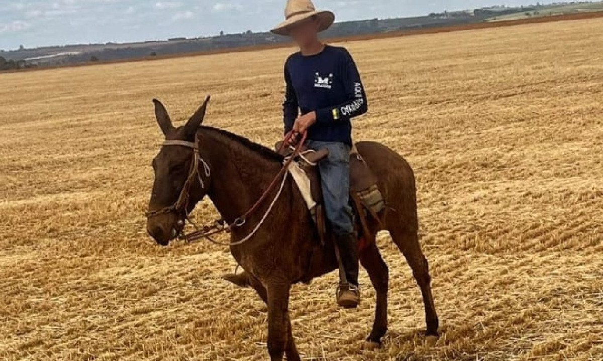 Antônio Augusto Fonseca domava cavalos para o patrão em São Gotardo, cidade do Alto Paranaíba