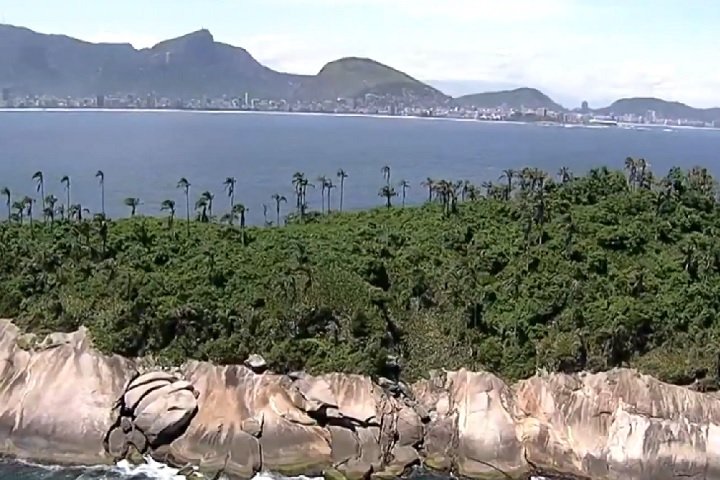 "Essa é uma data muito simbólica para nós. Estamos prestes a alcançar nossa maioridade no mundo da conservação marinha", celebrou Tatiana Ribeiro chefe da unidade da Mission Blue Alliance.