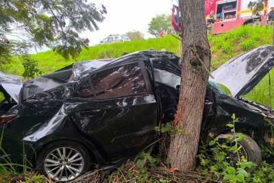 Corolla saiu da pista e caiu no fundo de um barranco da BR-259, matando motorista de 22 anos -  (crédito: BPMRv)