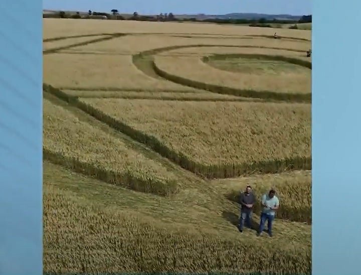 Depois de coletar fotos, vídeos e materiais do local, a equipe disse que "no momento não dá para confirmar se o agroglifo é realmente verdadeiro”.