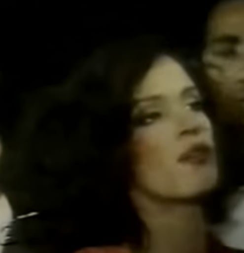 Dancin' Days tem como enredo uma ex-presidiária, que ganha liberdade condicional, que tenta se reaproximar de sua filha após o ocorrido. Dentre os atores e atrizes estavam Sônia Braga, Antônio Fagundes, Joana Fomm, Reginaldo Faria e Glória Pires.