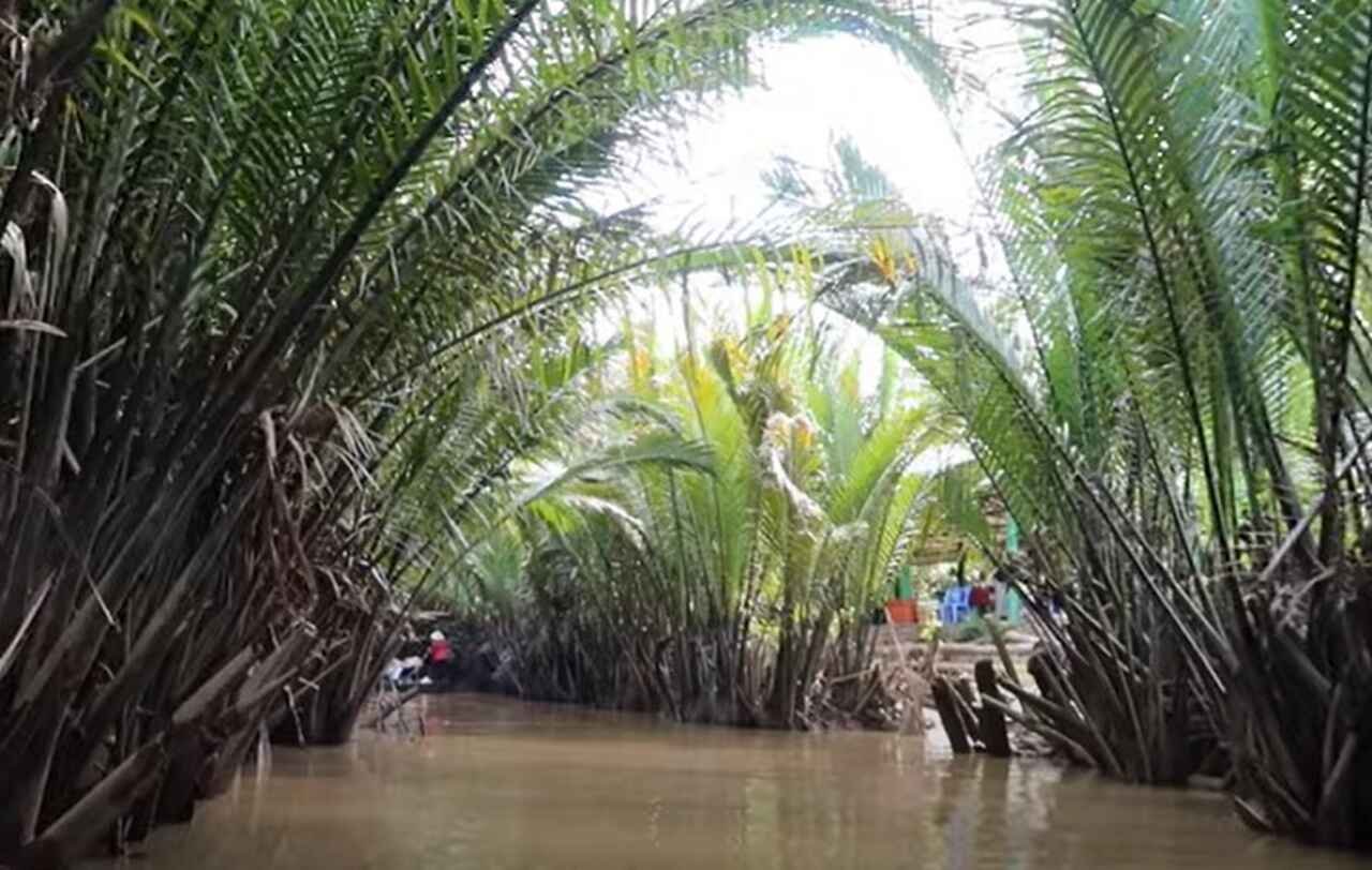 As pessoas do delta adaptaram-se à vida aquática, criando uma cultura única onde barcos e canoas são meios de transporte mais comuns que motos ou bicicletas.