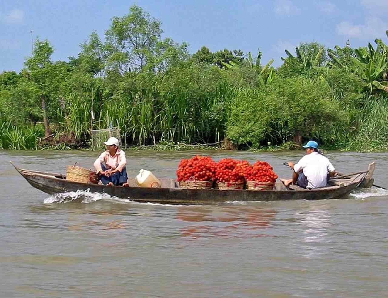 O rio e seus nove braços (daí o nome "nove dragões") moldam as paisagens do delta e influenciam profundamente a vida dos seus habitantes.