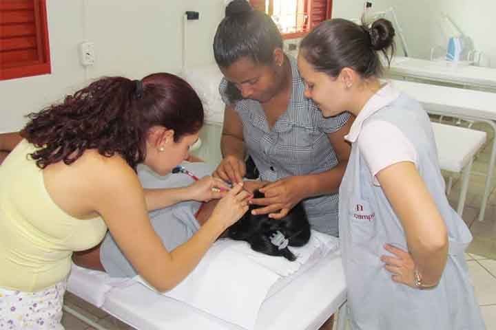 Algumas universidades e hospitais públicos oferecem a técnica como parte dos serviços de saúde, incluindo tratamentos gratuitos pelo SUS.