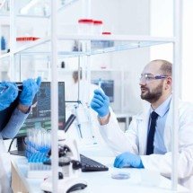 Creatinas aprovadas pela Anvisa em nova análise de 2025 - DINO