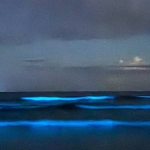 Mar de Ubatuba tem espetáculo luminoso; veja locais com Bioluminescência - Reprodução Instagram @vidacaicara.uba