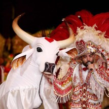 Festival de Parintins não é carnaval, é algo surreal 
