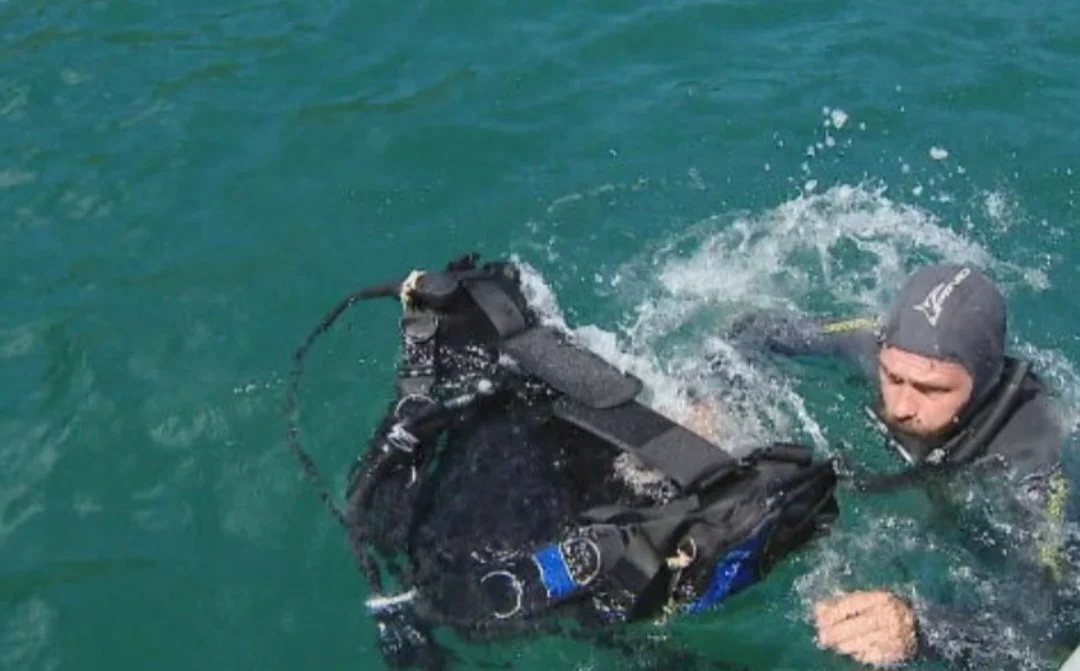 Pesquisadores removem coral que é invasor do litoral brasileiro - Reprodução TV Globo