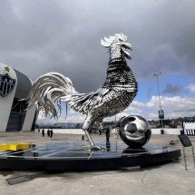 Só um coração de inox pra aguentar esse Galo - Edesio Ferreira/EM/D.A Press