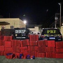 MG: PRF apreende mais de 800kg de maconha escondidos em caminhão - PRF/Divulgação