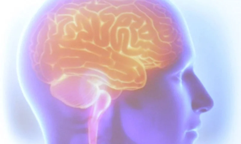 A demência frontotemporal (DFT) é uma doença neurodegenerativa que afeta regiões do cérebro e provoca perda progressiva de funções do órgão. -  (crédito: Tânia Rêgo/Agência Brasil)