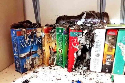 Cupins preocupam tanto no campo quanto na cidade, pois destroem estruturas de madeira, móveis e documentos, podendo causar grandes prejuízos. Veja informações sobre esse inseto minúsculo, mas destrutivo. -  (crédito:  Reprodução de Facebook INQUIRER.net)