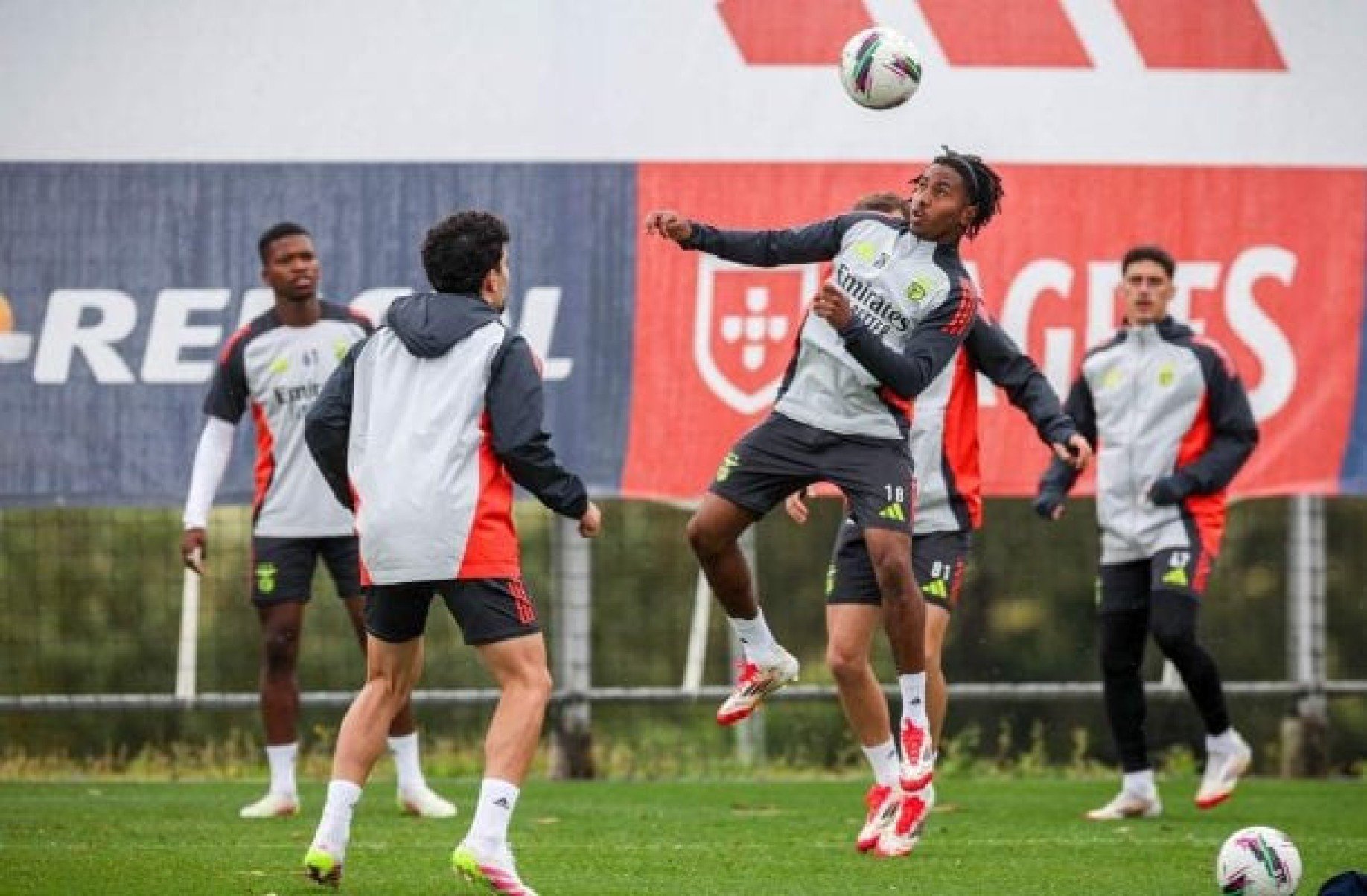 Estoril x Benfica: onde assistir, escalações e arbitragem