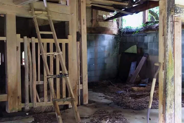 De acordo com dados do Ministério de Assuntos Internos e Comunicação do Japão, 14% dos imóveis residenciais do país estão "às moscas". 

