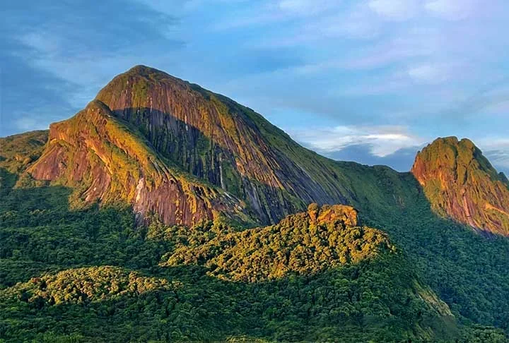 Os pesquisadores passaram 12 dias acampados no topo de uma montanha vizinha ao Pico do Imeri, a quase 1.900 metros de altitude. Eles coletaram a maior diversidade possível de plantas e animais em uma das regiões mais preservadas e menos conhecidas da Amazônia. 