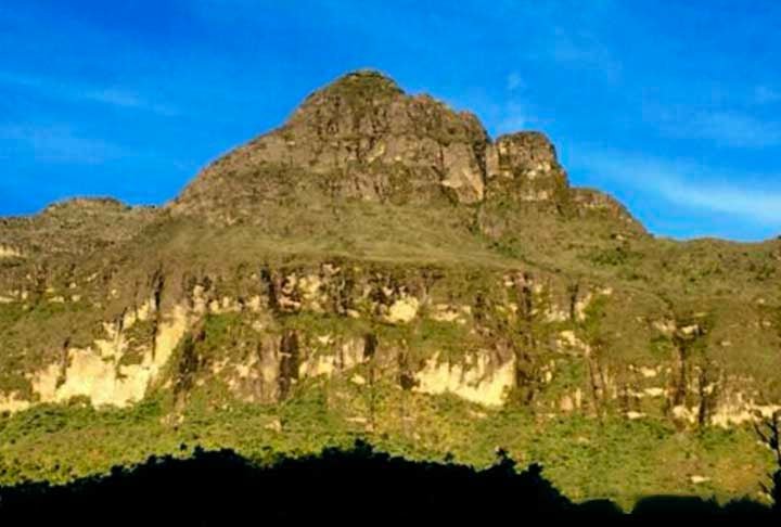 “Eu fui atrás de um cantor, comecei a cavar com o Leandro, e depois de alguns minutos fazendo playback um animal pulou, quando estávamos quase desistindo”, relatou Fouquet, em entrevista ao Jornal da USP. 